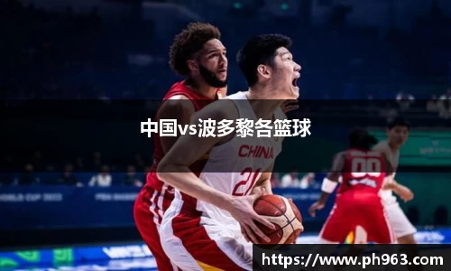 中国vs波多黎各篮球