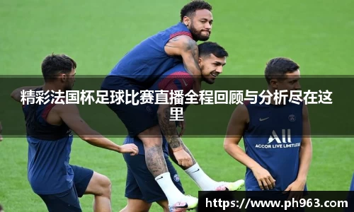 精彩法国杯足球比赛直播全程回顾与分析尽在这里