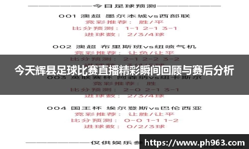 今天辉县足球比赛直播精彩瞬间回顾与赛后分析