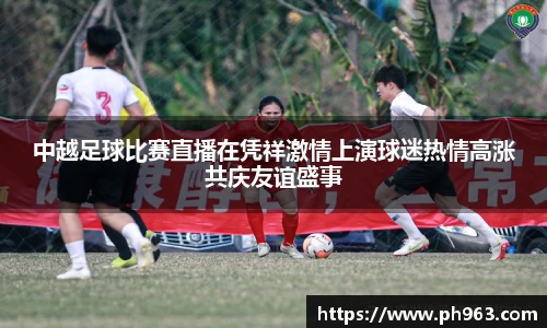 中越足球比赛直播在凭祥激情上演球迷热情高涨共庆友谊盛事