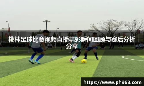 桃林足球比赛视频直播精彩瞬间回顾与赛后分析分享
