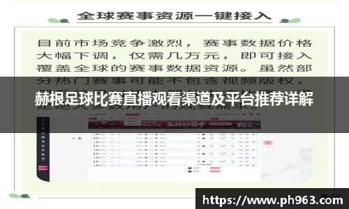 赫根足球比赛直播观看渠道及平台推荐详解
