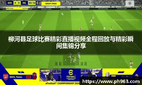 柳河县足球比赛精彩直播视频全程回放与精彩瞬间集锦分享