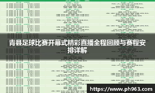 青县足球比赛开幕式精彩直播全程回顾与赛程安排详解