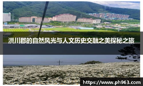 mk体育在线官网