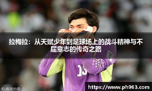 mk体育官网入口